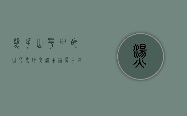 烫手山芋中的山芋是什么（这两种房子已经是烫手山芋了！你还敢买吗？）