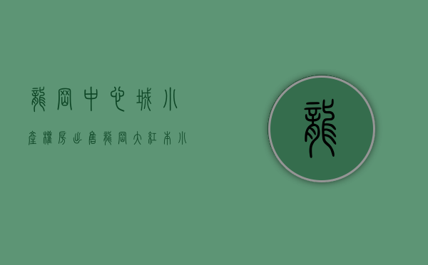 龙岗中心城小产权房出售（龙岗大红本小产权双龙地铁口，「龙岗中心城时代公馆」精装交楼）