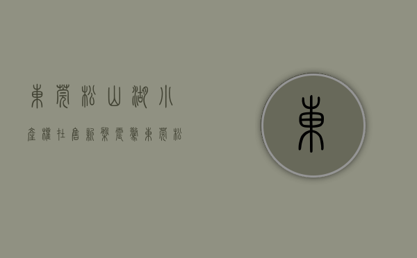 东莞松山湖小产权在售新盘（震惊！东莞松山湖惊现一规模42栋的小产权房，网友：大概要走半个小时才能出来）