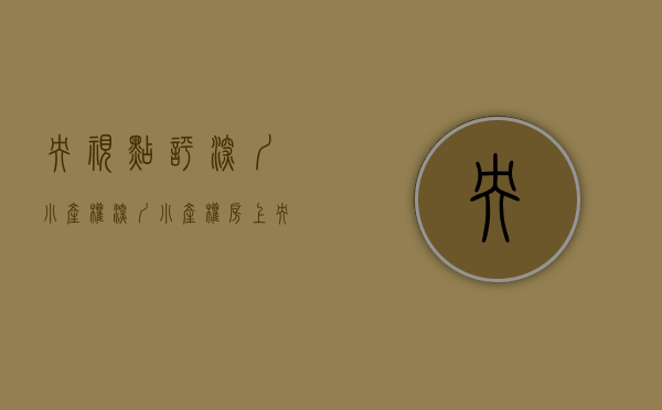 央视点评深圳小产权（深圳小产权房上央视了，小产权房会凉凉吗？）(深圳重拳整治小产权房)
