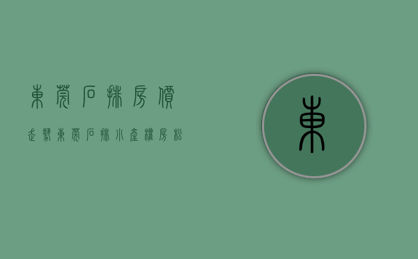 东莞石排房价走势（东莞石排小产权房松湖北·格林新城三房四房居家户型）