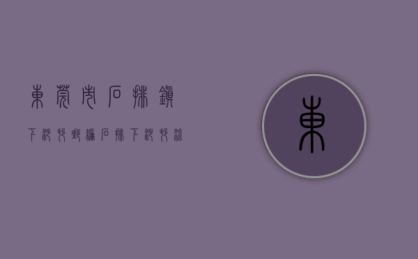 东莞市石排镇下沙村邮编（石排下沙村：流淌在骨子里的红色精神血脉）