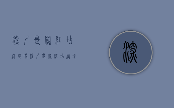 深圳是网红店洼地吗（深圳是网红店洼地吗？）(深圳的网红店)