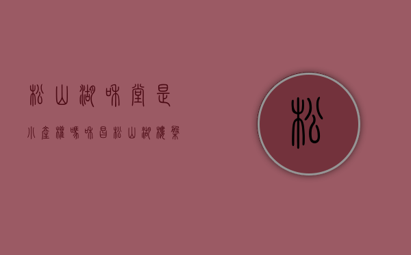 松山湖和堂是小产权吗(和昌松山湖楼盘) 松山湖和堂是小产权吗(和昌松山湖楼盘)