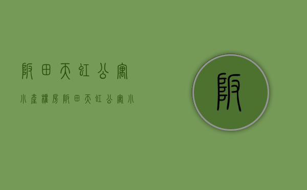 坂田天虹公寓小产权房(坂田天虹公寓小产权房出售) 坂田天虹公寓小产权房(坂田天虹公寓小产权房出售)