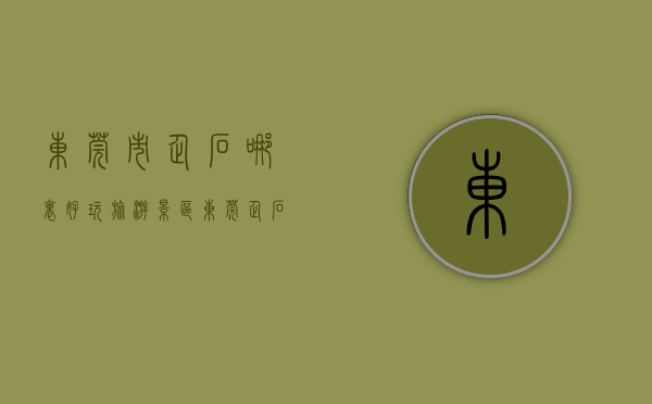 东莞市企石哪里好玩旅游景区（东莞企石：“欢乐莞 闹元宵”嘉年华火热上演 市民乐享高质量发展文化福利）