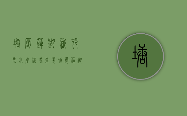 塘厦莲湖新村是小产权吗（东莞塘厦《莲湖华府》莲湖小产权房 2梯4户豪华装修 首付10W买大三房）