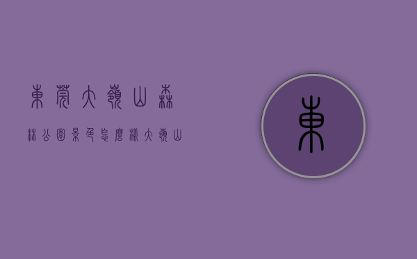 东莞大岭山森林公园景色怎么样（大岭山森林公园，东莞面积最大森林公园，林深树茂，山水尽揽怀中）