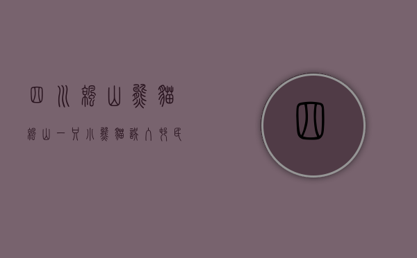 四川凉山熊猫（凉山一只小熊猫误入村民家，你是想泡温泉吗？）(凉山熊猫基地)