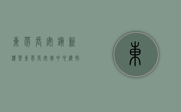 东莞长安镇新楼盘（东莞长安镇中心【海怡豪庭】2大栋小产权房最新开盘出售）