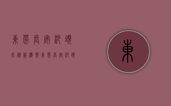 东莞长安沙头房价新楼盘（东莞长安沙头小产权房时代城3680元㎡起首付三成）