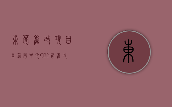 东莞旧改项目（东莞市中心CBD旁旧改，拆迁补偿方案出炉）(东莞旧改更新单元划定)