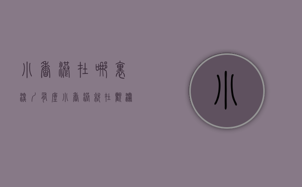 小香港在哪里（深圳有座“小香港”，就在观澜｜元故事视频）(罗湖小香港)