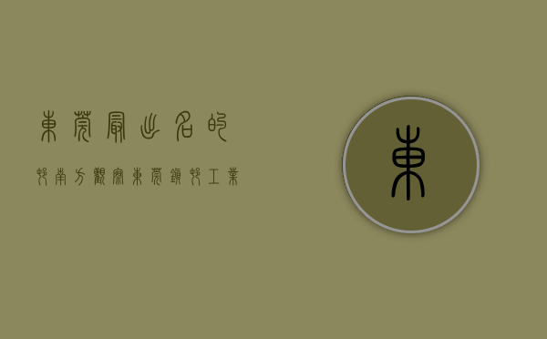东莞最出名的村（南方观察｜东莞镇村工业园改造火速加码的背后（附视频））