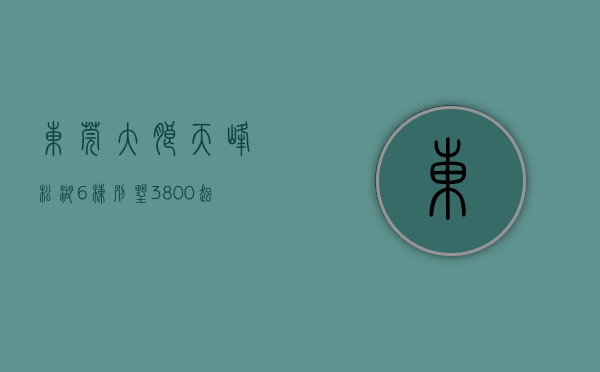 东莞大朗天峰松湖6栋别墅（3800起？松山湖大朗6栋村委统建楼小产权（天峰松湖）怎么样？）