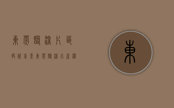 东莞临深片区投资前景（东莞临深小产权房有哪些？）(东莞临深楼盘房价)