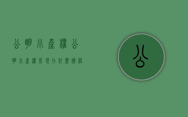 公明小产权(公明小产权房现在什么价格)