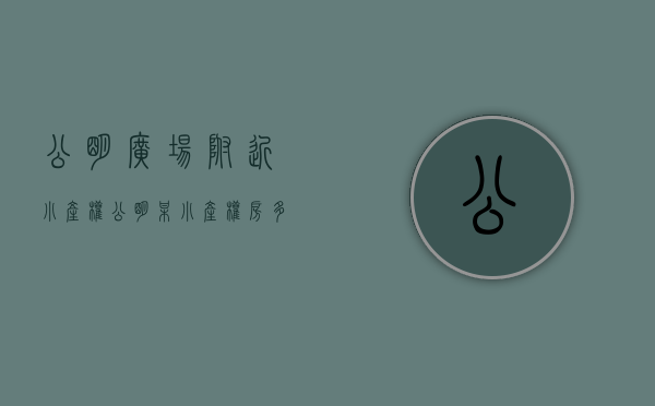 公明广场附近小产权（公明某小产权房多套房子被查封 律师支招维护业主权益）