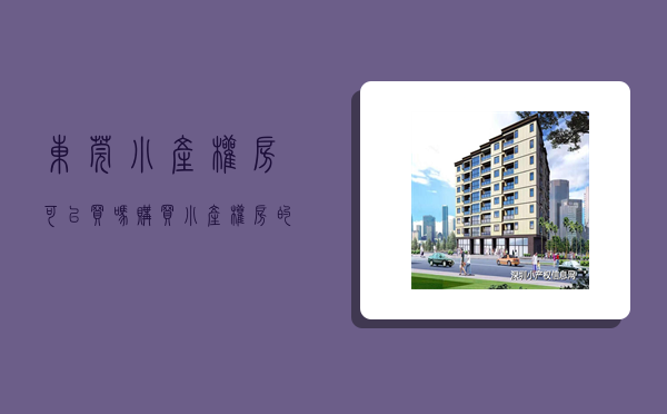 东莞小产权房可以买吗？购买小产权房的利与弊(东莞市的小产权房可以买吗)