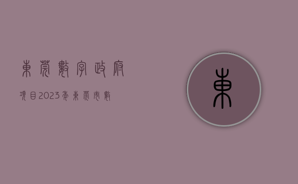 东莞数字政府项目（2023年东莞市数字赋能峰会成功举办）(东莞数字化转型)