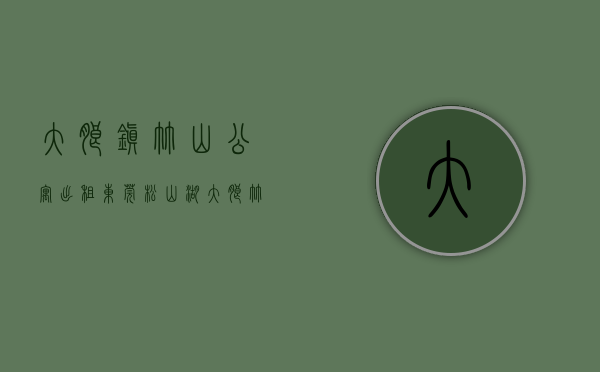 大朗镇竹山公寓出租（东莞松山湖大朗竹山统建楼-竹山文化广场鸣凤学校旁小产权房）