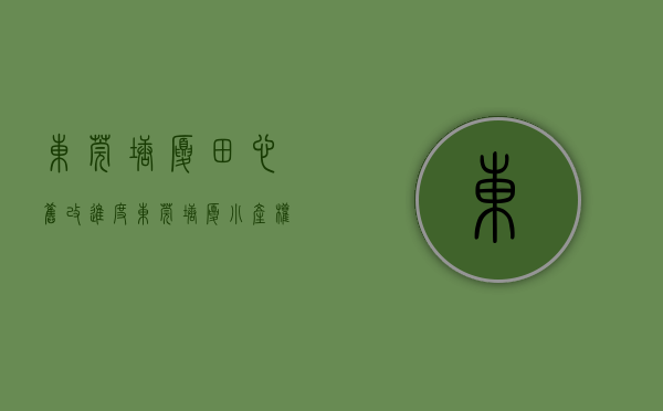 东莞塘厦田心旧改进度（东莞塘厦小产权房出售【田心雅苑】2梯8户 带大型停车场）