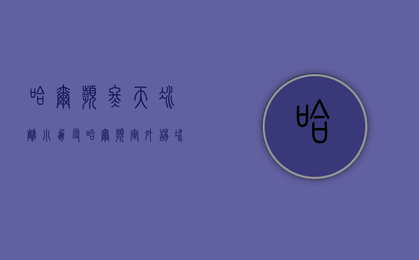 哈尔滨冬天冰雕（小朋友哈尔滨室外舔冰雕舌头被粘：东北的冰真的是甜的吗？）