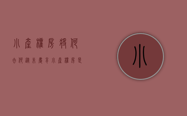 小产权房将何去何从（朱庆育：小产权房是什么？）(小产权房的出路何在)