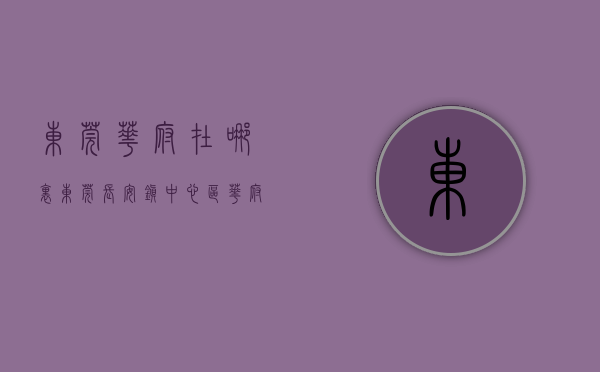 东莞华府在哪里（东莞长安镇中心区《华府雅苑》精装上市 户型超靓）