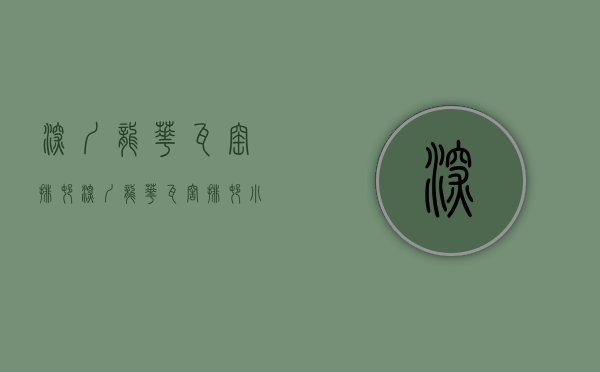 深圳龙华瓦窑排村（深圳龙华瓦窖排村小产权房《小苹果》超低价户型方正送家私）