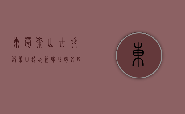 东莞茶山古村落（茶山潮玩“篮球城市文创礼盒”荣膺“东莞礼物”二等奖）