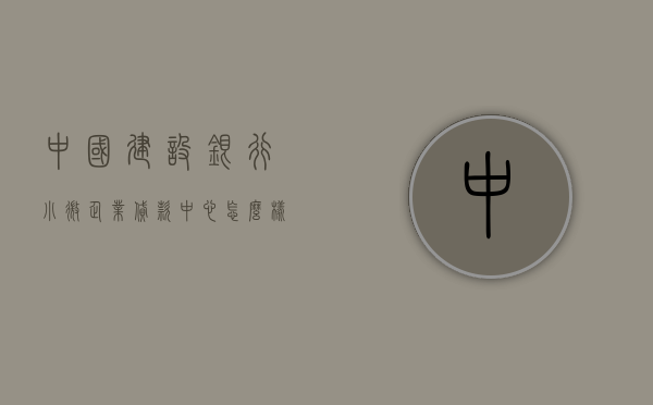 中国建设银行小微企业贷款中心怎么样申请（深圳建行成为全国首家小微企业贷款超3000亿元的分行）