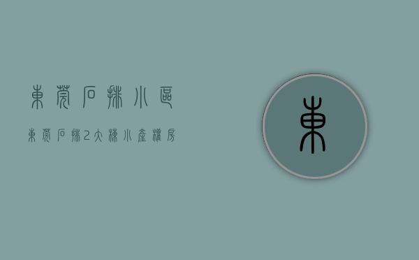 东莞石排小区（东莞石排2大栋小产权房统建楼《东江新城》单价3580一平起售， 封闭式小区房，户型方正，配套齐全，一线江景房 马路第一排 通燃气）