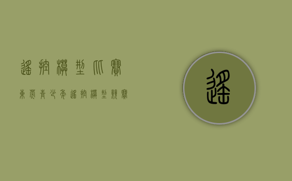 遥控模型比赛（东莞青少年遥控模型竞赛暨大湾区邀请赛在长安举行）(遥控模型车比赛)