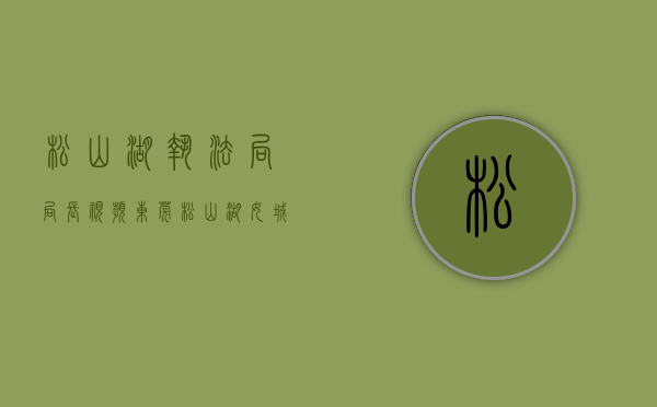 松山湖执法局局长（「视频」东莞松山湖女城管的日常：奔走园区各处，大街小巷就是“办公室”）