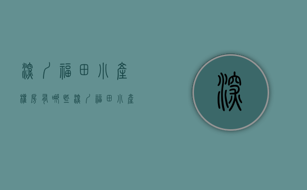 深圳福田小产权房有哪些(深圳福田小产权房盛大开盘了)