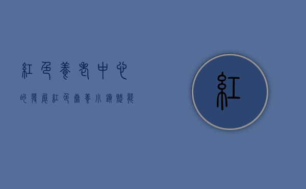红色养老中心的发展（红色康养小镇赋能发展）(红色初心故事 敬老院)