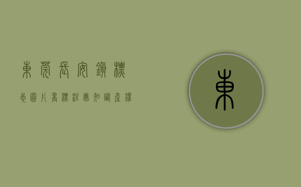 东莞长安镇标志图片（商标注册，知识产权注册，东莞市，长安镇）(东莞长安镇分布图)