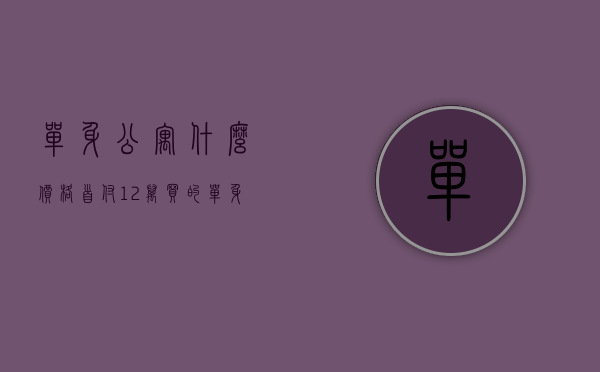 单身公寓什么价格（首付12万买的单身公寓，刚贴出租就有人抢着要，一起来看看吧！）