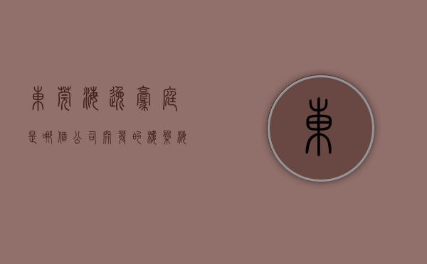 东莞海逸豪庭是哪个公司开发的楼盘（海逸豪庭 VS 达鑫江滨新城在东莞谁更胜一筹）